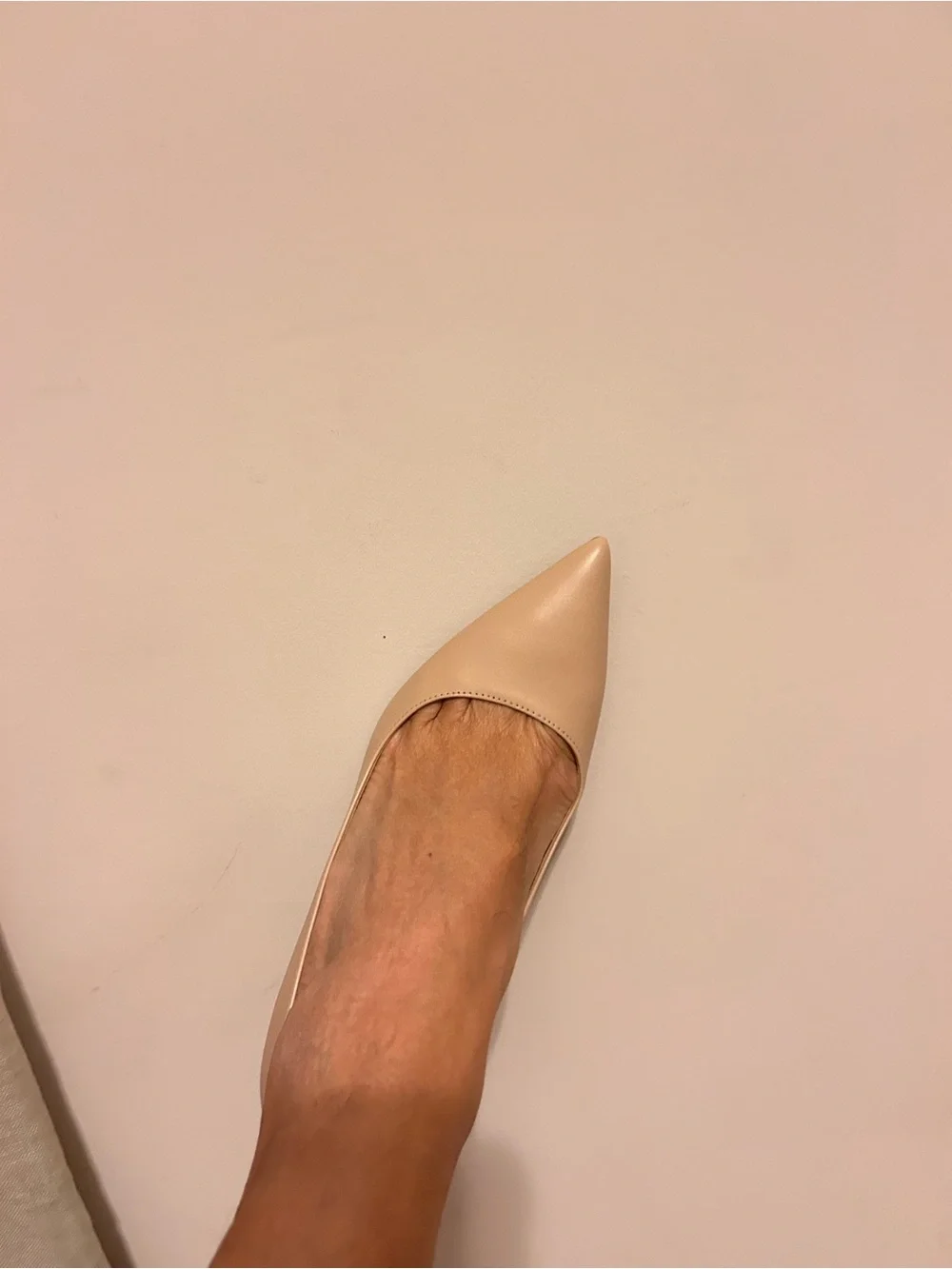 Michaels Blush Beige Pointed Toe Stiletto Pumps